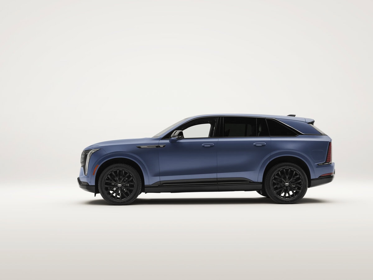 Curated IQ Side Profile