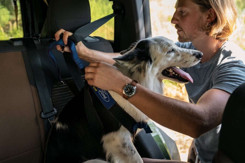 Ford Pet Harness
