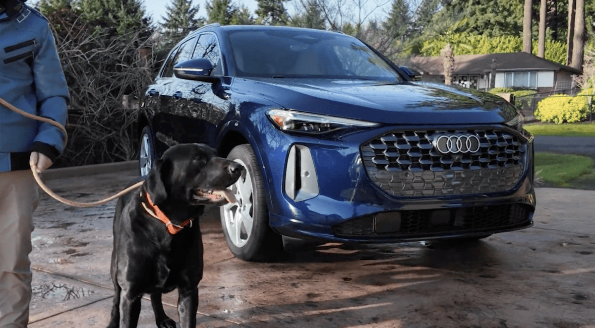 Featured image for “Audi Q5 dog-friendly SUV: a real-world dog test”