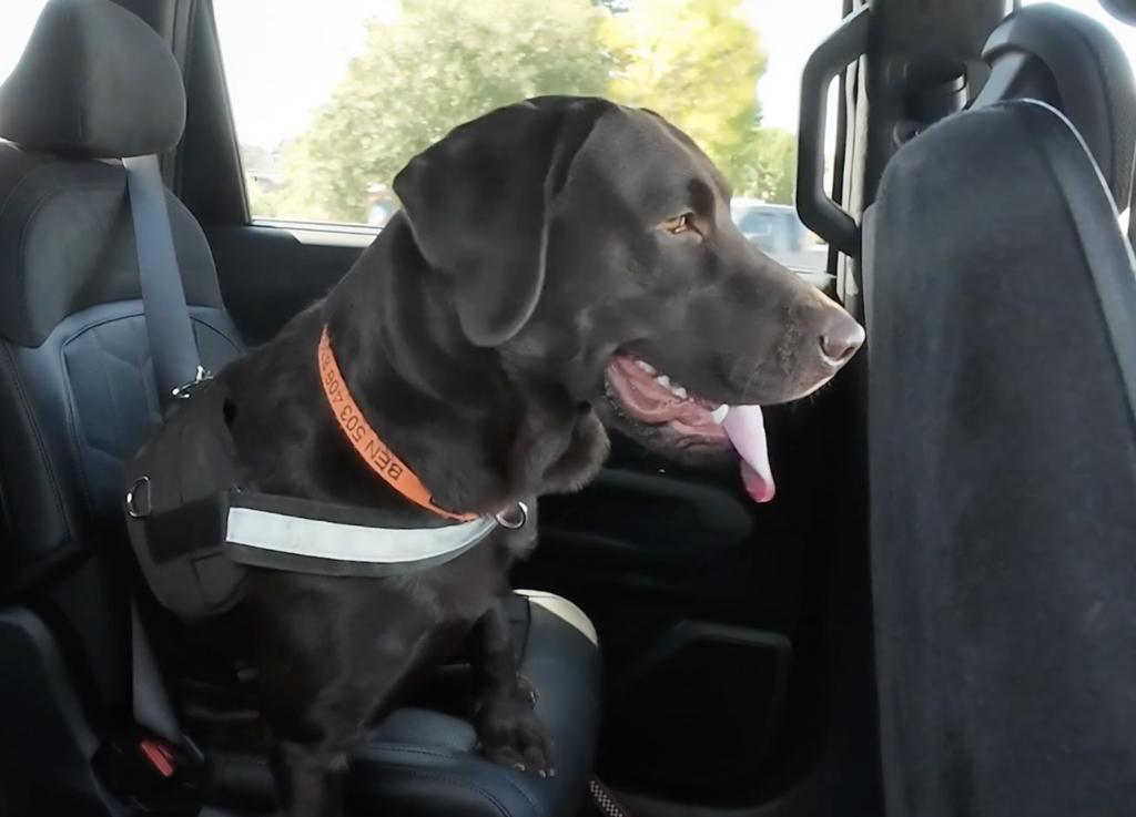 Ben in the back of the 2026 Kia Telluride HEV X-Line
