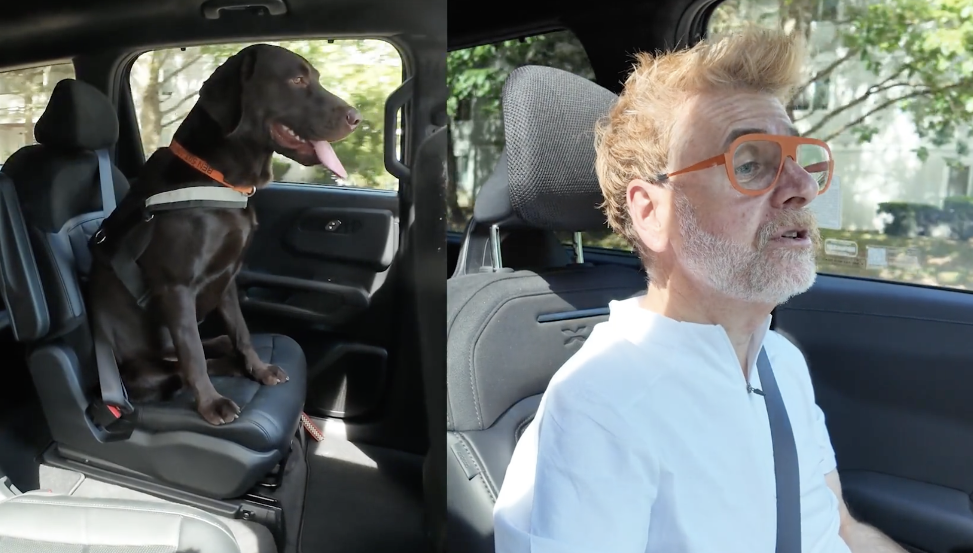 Featured image for “2027 Kia Telluride Hybrid Review: Family Tested With Ben the Labrador”